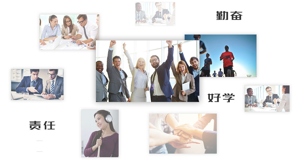 15510806301519fltvv.png